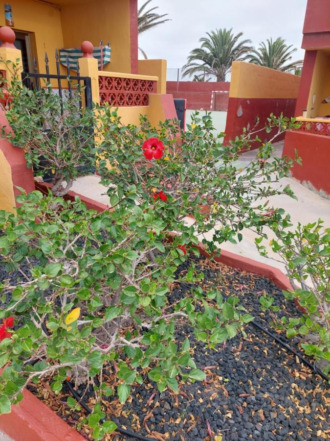 Apartament La Paloma Buena Esperanza Costa De Antigua Zewnętrze zdjęcie